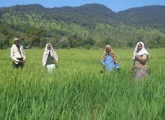 විල්ගමුවේ වැව්  4ක්  සංවර්ධය කිරීමට පියවර